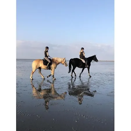 More About The Wadden Sea Doris Frenzel בית נופש קושהאבן
