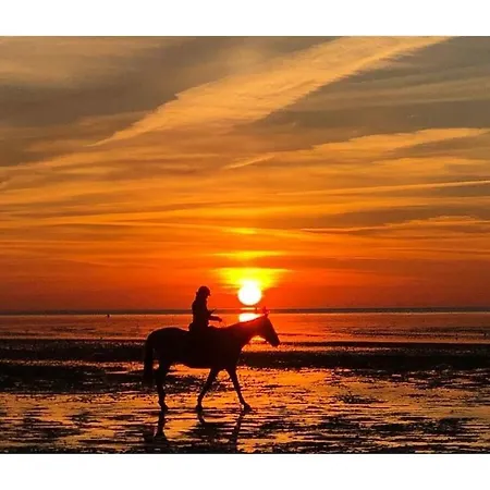 More About The Wadden Sea Doris Frenzel