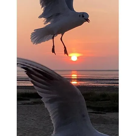 בית נופש More About The Wadden Sea Doris Frenzel *